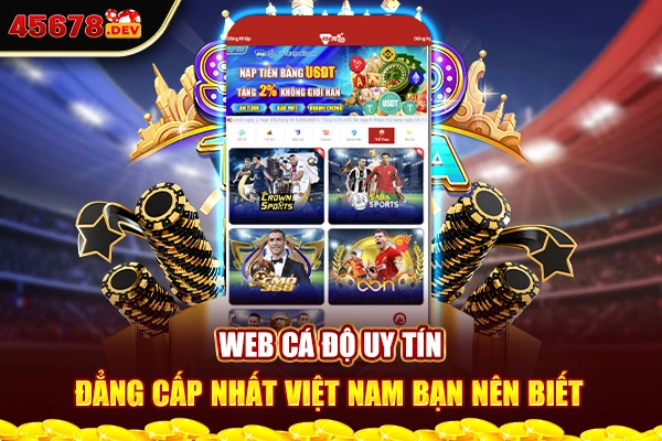 Web cá độ uy tín, đẳng cấp nhất Việt Nam bạn nên biết