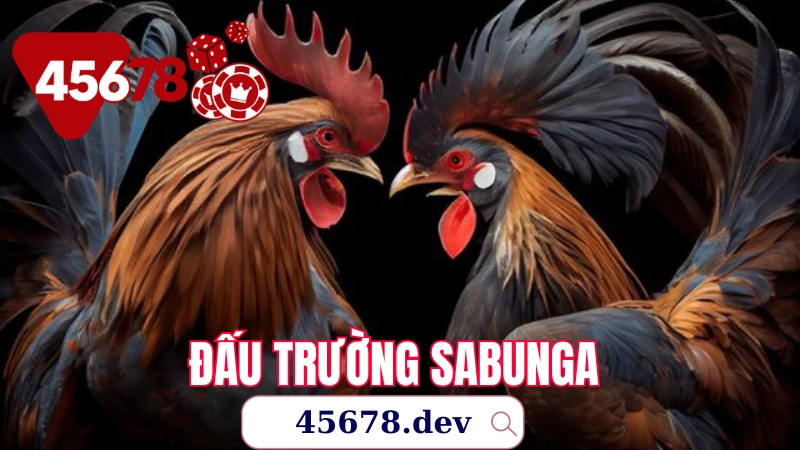 làng gà thái lan trên trang 45678 